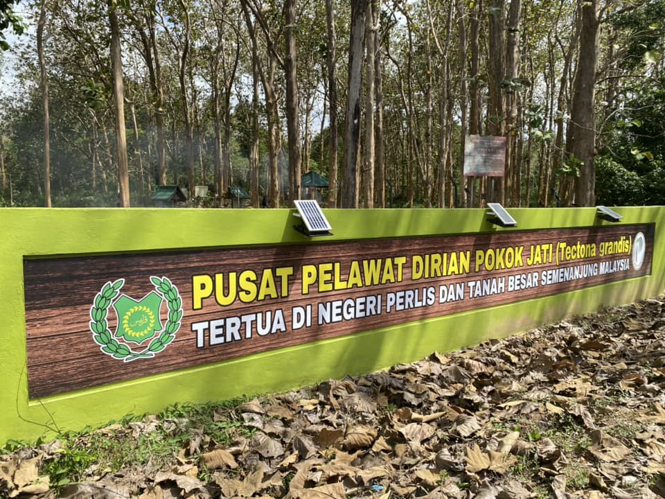 PUSAT PELAWAT DIRIAN POKOK JATI (Tectona grandis) TERTUA DI NEGERI PERLIS DAN TANAH BESAR SEMENANJUNG MALAYSIA